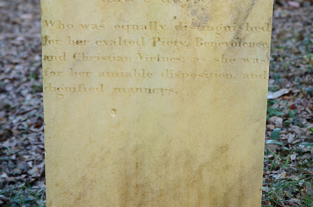 23269092360_e72e83611a_z