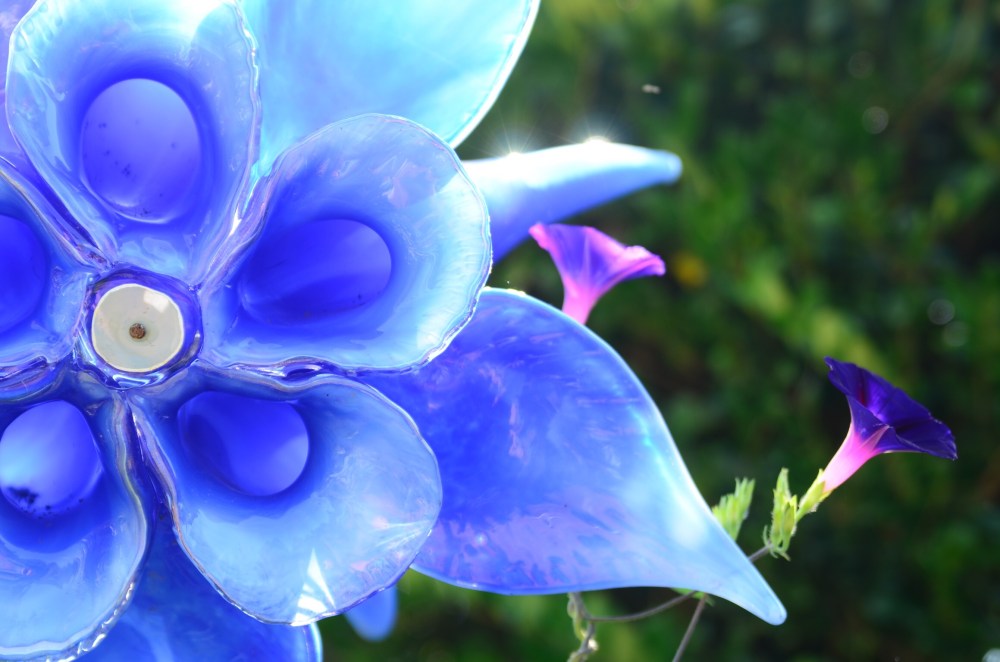 6ecccfa8-557e-4e94-8da8-9a0d2ea04dad