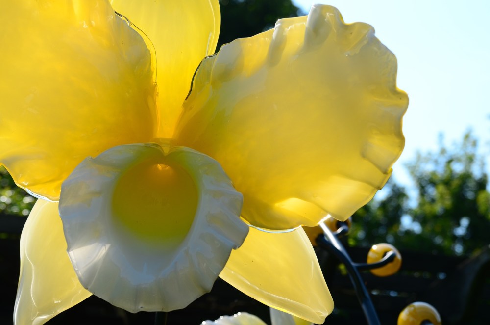 ad8bfdfa-219a-4f19-9348-24ce7d3d64a9