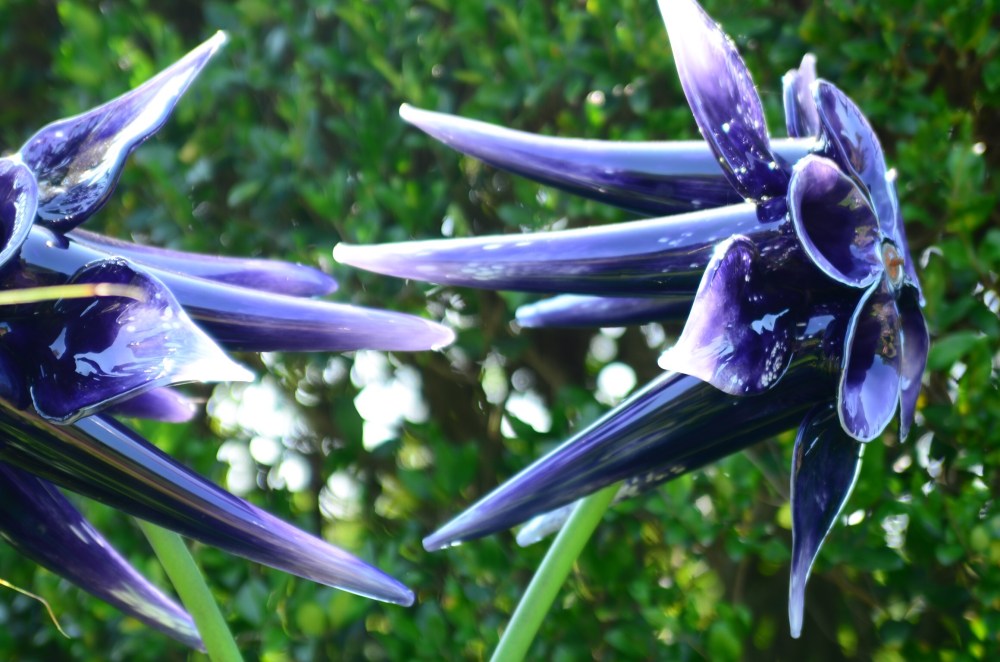 e4772d76-7458-46fa-9997-d000d511ae8d