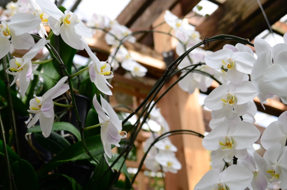 15f8c1fe-8c3b-4d24-bed3-57cae3c4bd1b