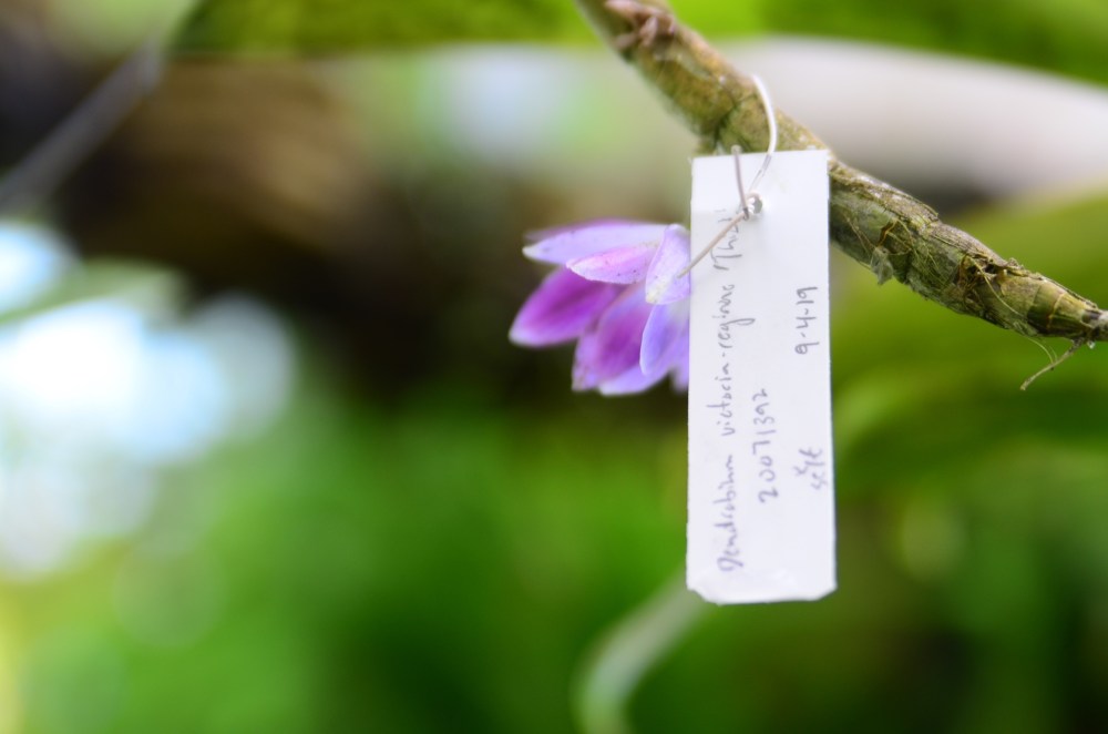 23c93139-3d44-4fef-9ab9-50777d4a3f8e