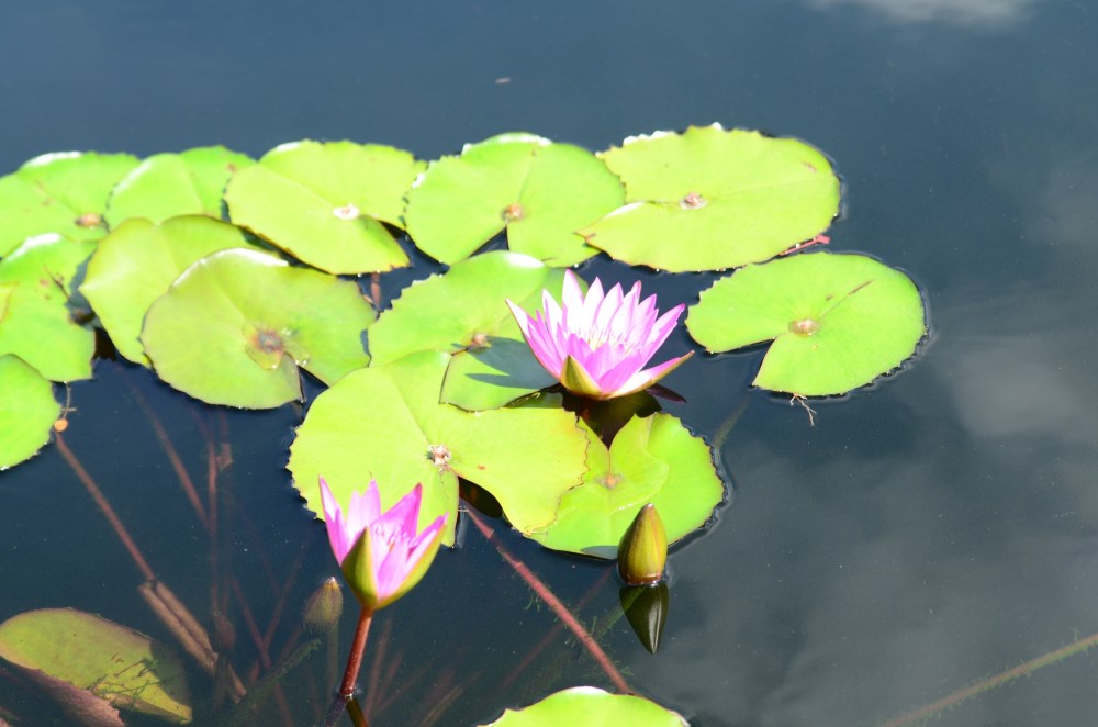 24e5fa26-92a5-4589-a7ab-fe77aaa76ef5