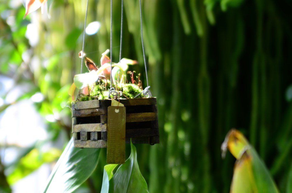 3badeb91-3edf-49b4-bd85-6ef89c057609