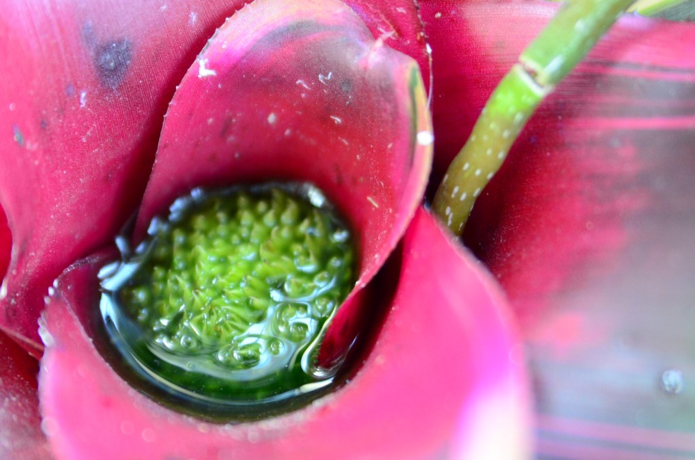 7ee8d31d-2d9e-4524-95b6-7d25bb31cc88