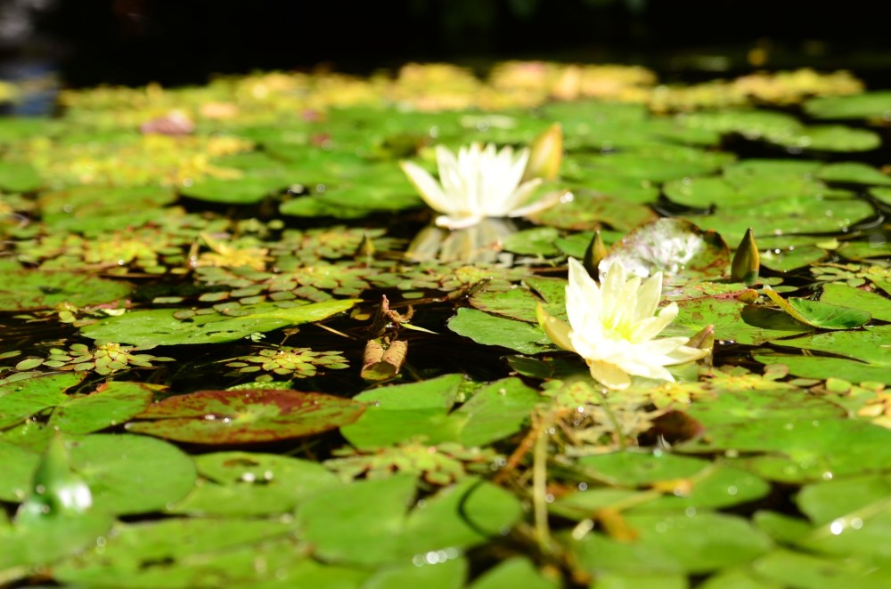 8707a8cd-a379-4f87-829e-17f5ce9ddf81