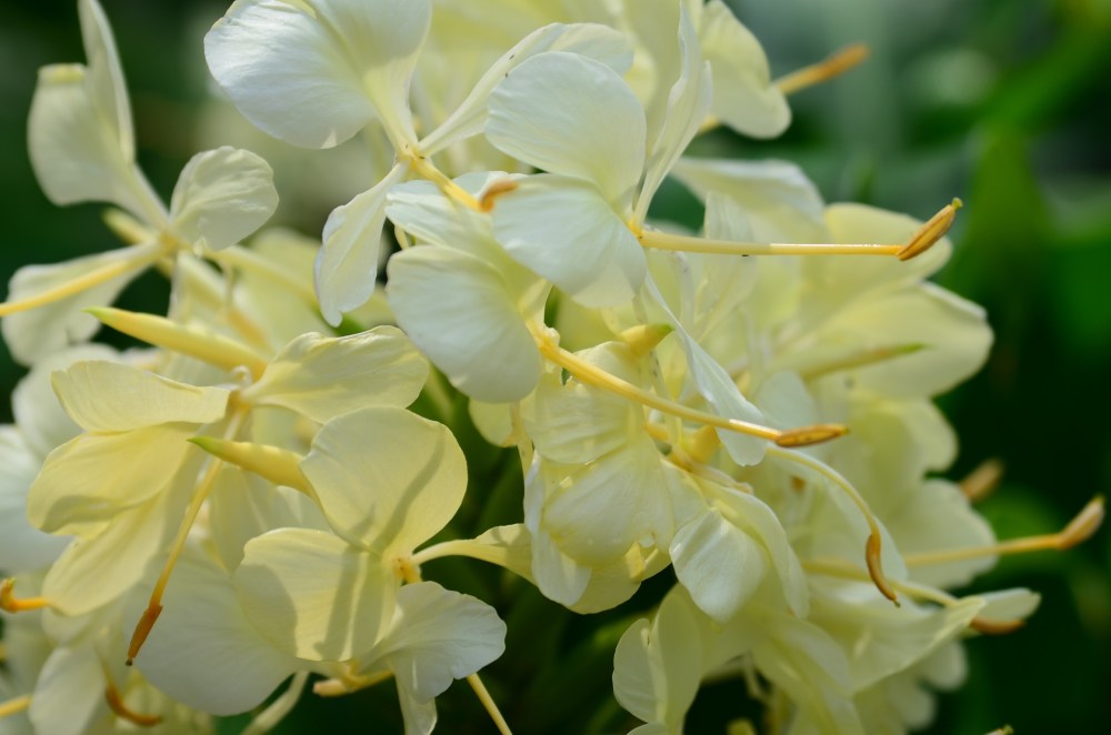 9c9ec1c2-40c7-4dee-8457-41d8e1d2d5f1