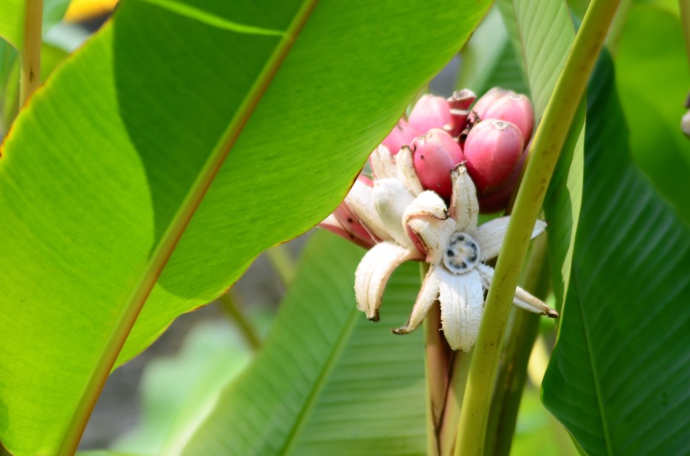 c9ca64dc-39b1-4d72-a74a-4fc009a2c1de