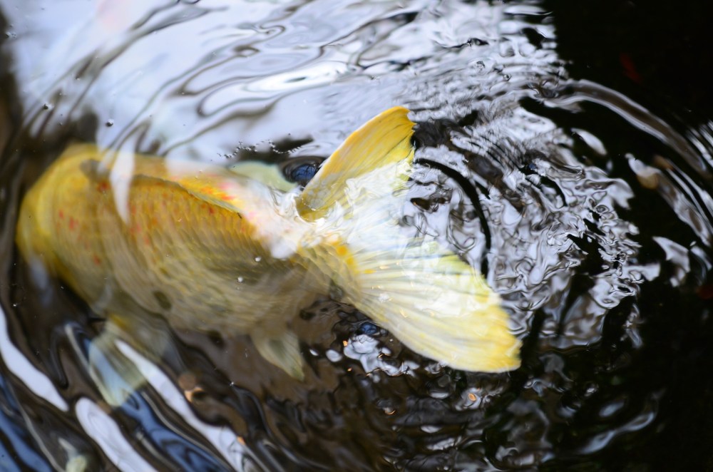 011d625f-06d3-4ca4-bffc-b8a91891d593