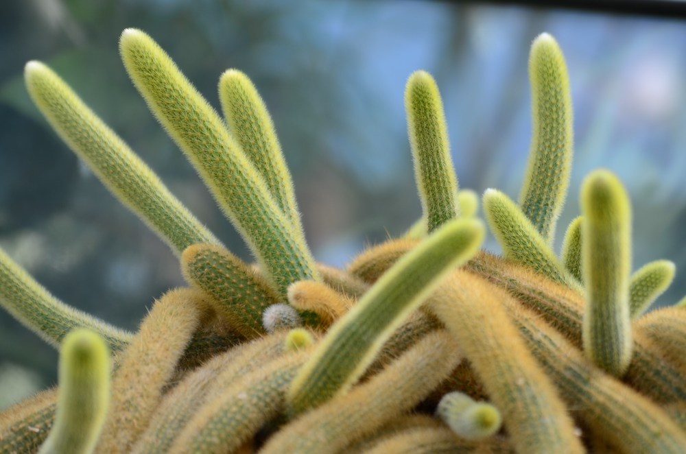 04163cd4-f100-4d74-91f9-1ab686be571d