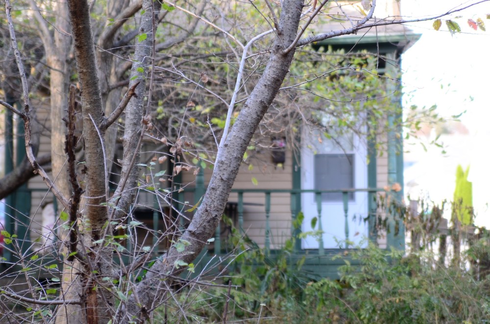 21debfab-8ce6-4c99-a384-cf30408017d3