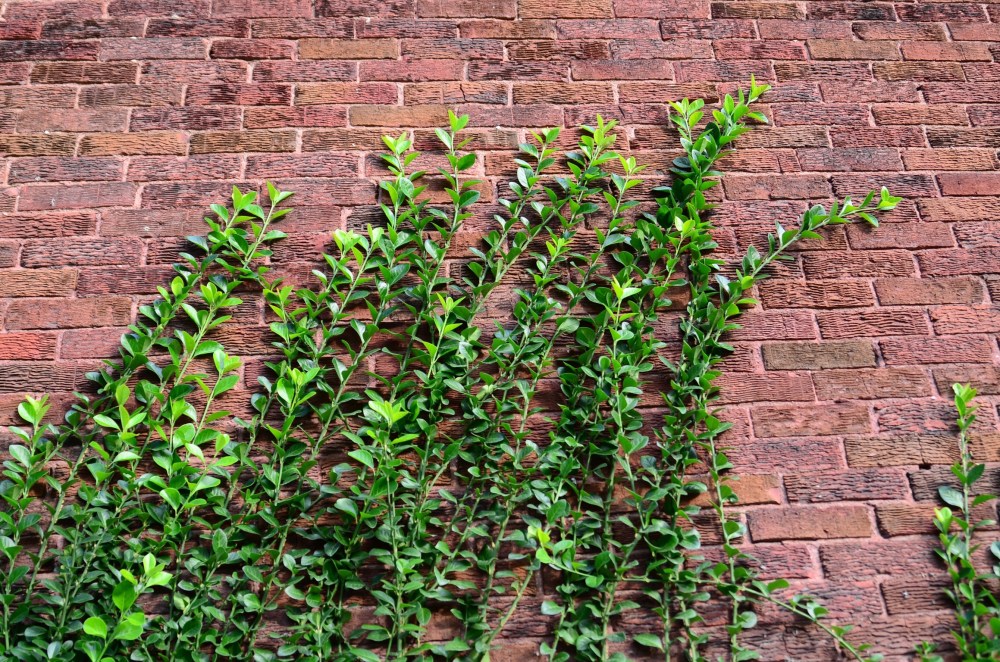 28d69106-c217-47e2-aabf-29a888690ab2