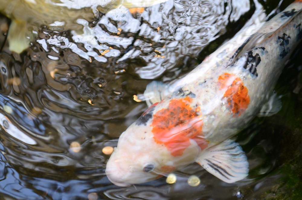 423cddad-1300-425d-88fb-3c95effcc6b9