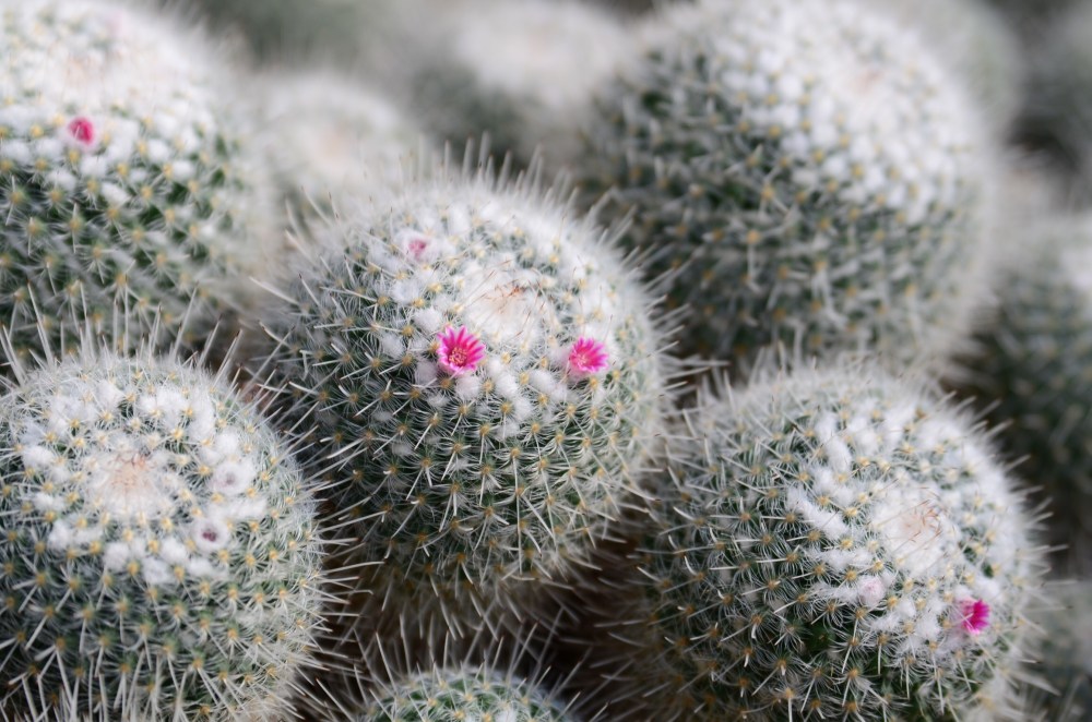 4efa7e0b-eccc-4b70-a704-7e9a57bea334