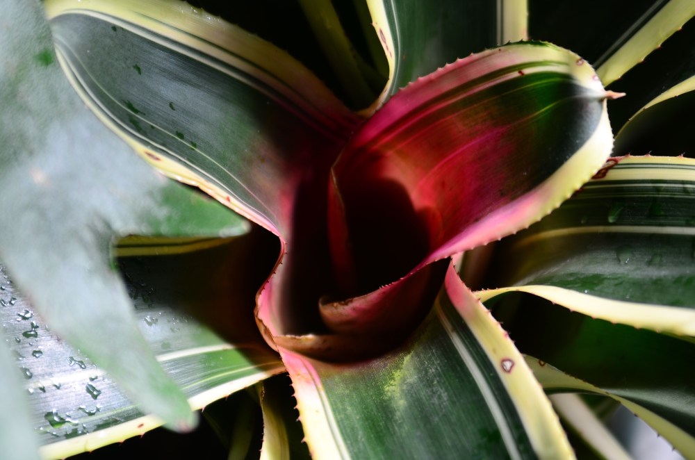 6a9989d8-6b6b-4469-8fce-d722f914fa89