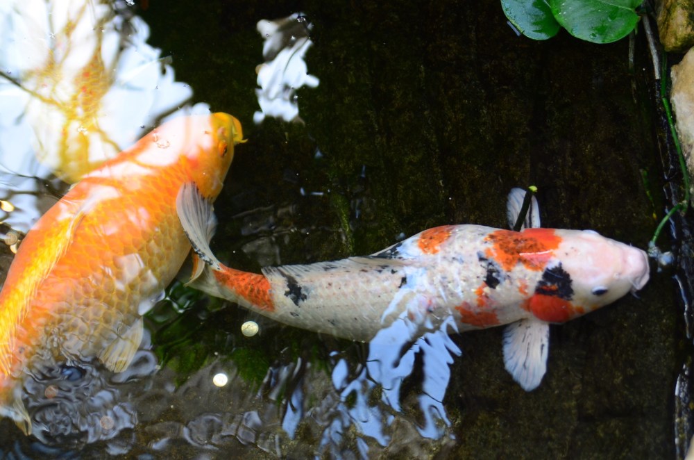 8fb3b34c-b742-434e-927f-6ac3cb302fc4