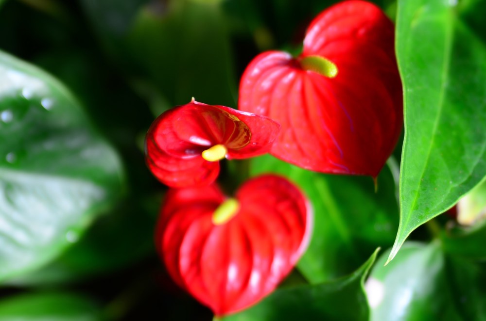 b8faebff-fb21-4d92-aa32-d65678804a45