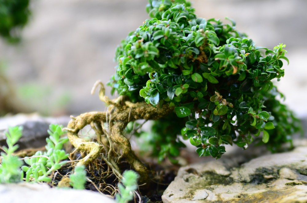 c4a21ac8-21c6-4430-b029-94439a3e874d