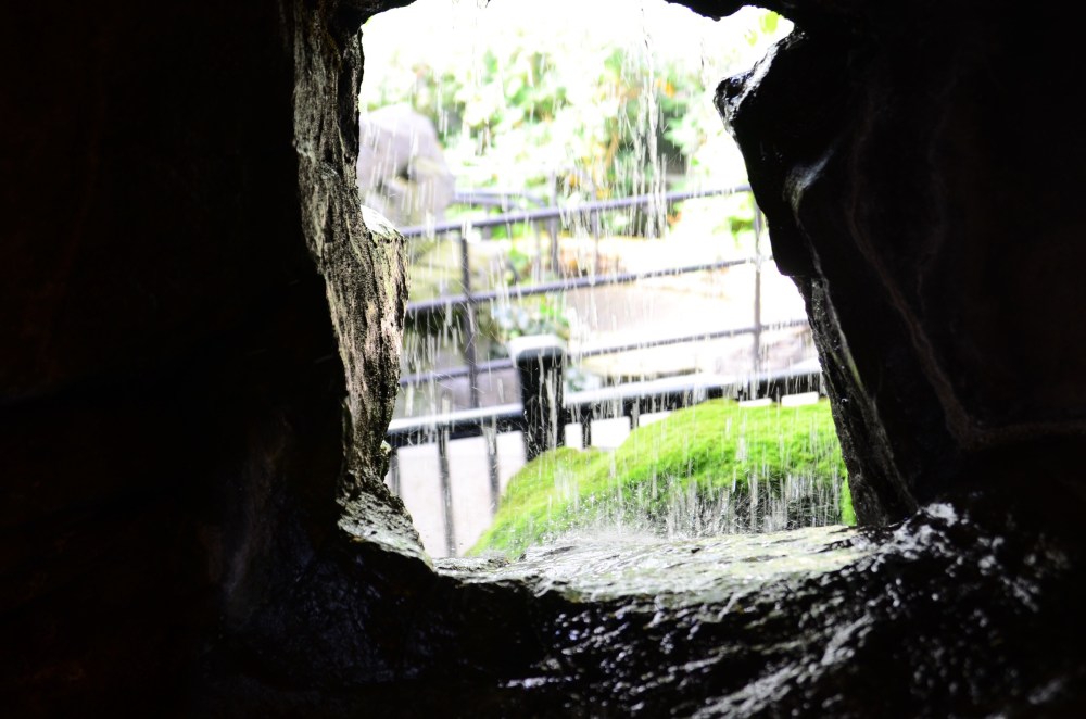 cf4f7829-9dd7-4cd6-b1bd-86a69a3ce545